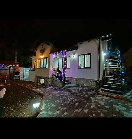 Casa Andy Otel Buşteni Dış mekan fotoğraf