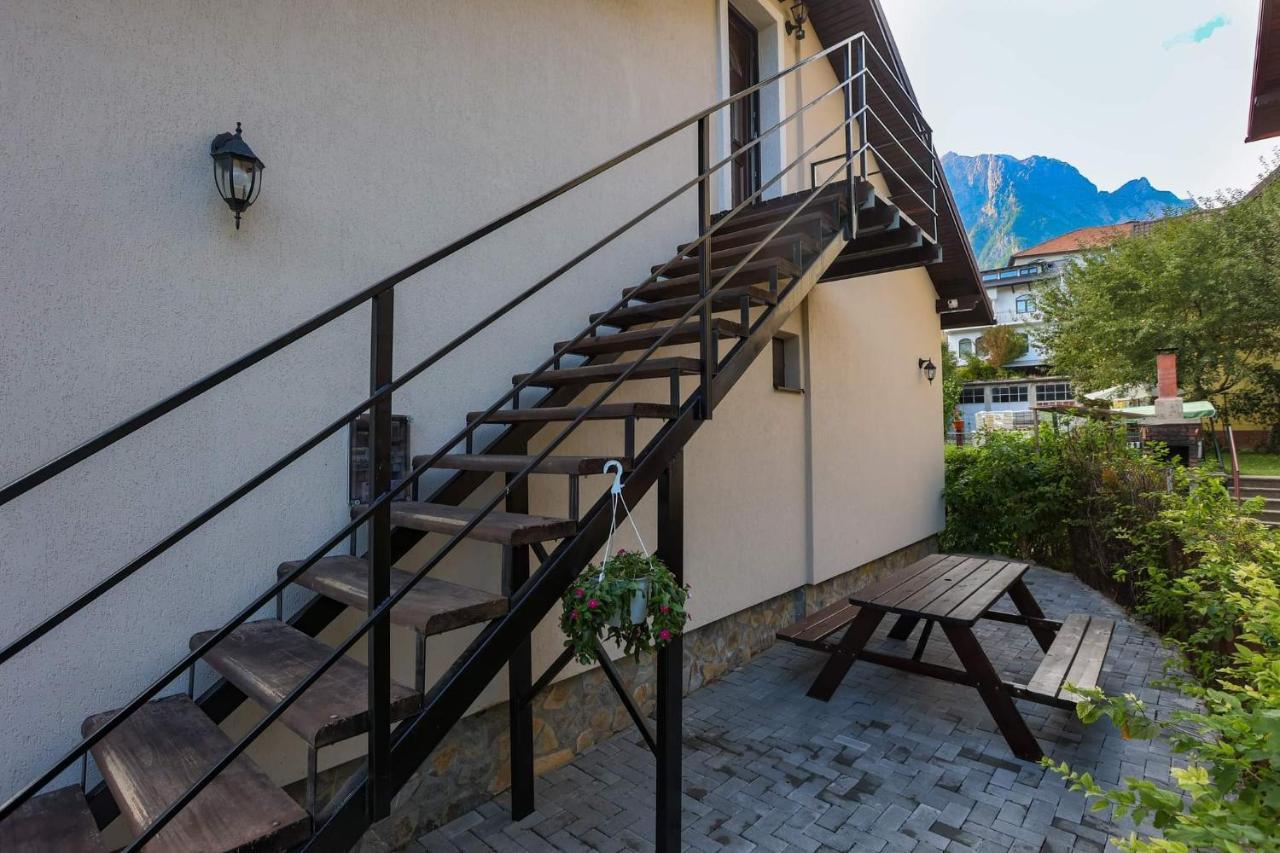 Casa Andy Otel Buşteni Dış mekan fotoğraf