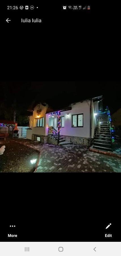 Casa Andy Otel Buşteni Dış mekan fotoğraf